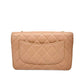 Pre-Owned Chanel Trendy CC Chain Bag N21910086
