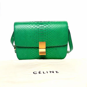 Pre-Owned Celine green snakeskin Box bag