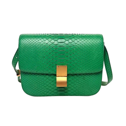 Pre-Owned Celine green snakeskin Box bag