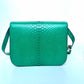 Pre-Owned Celine green snakeskin Box bag
