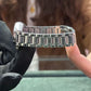 Pre-Owned Longines Master Collection