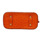 Pre-Owned Louis Vuitton ostrich leather Year 2013 N19543434