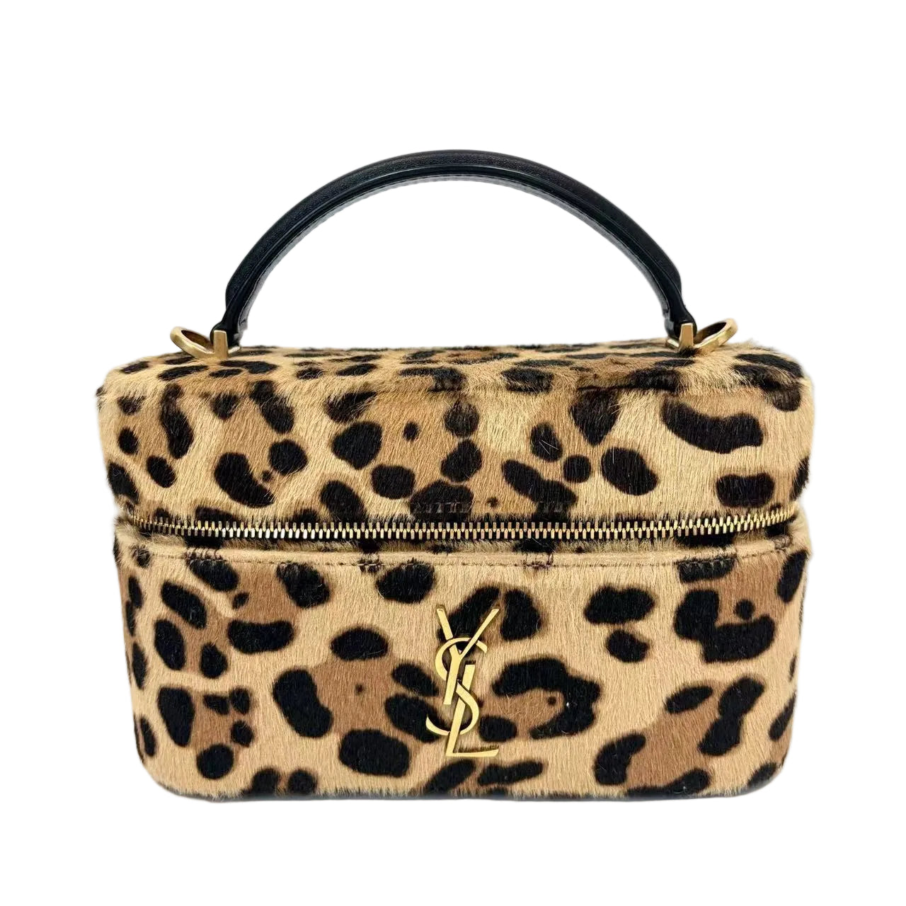 Pre-Owned Saint Laurent Gaby Vanity Bag N22411602
