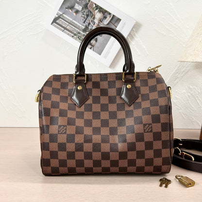 Pre-Owned Louis Vuitton Speedy 25 Damier Ebene Handbag
