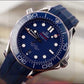 Pre-Owned Omega Seamaster Diver 300M 210.32.42.20.03.001 42mm Automatic